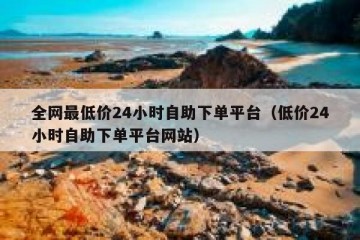 全网最低价24小时自助下单平台（低价24小时自助下单平台网站）