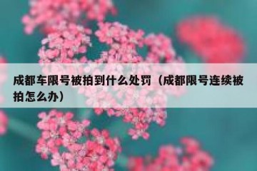 成都车限号被拍到什么处罚（成都限号连续被拍怎么办）