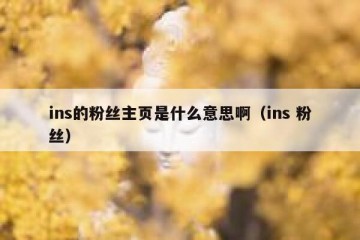 ins的粉丝主页是什么意思啊（ins 粉丝）