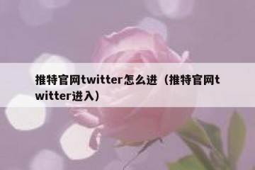 推特官网twitter怎么进（推特官网twitter进入）