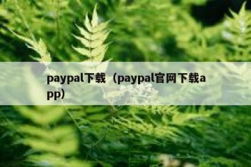 paypal下载（paypal官网下载app）