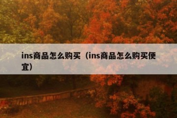 ins商品怎么购买（ins商品怎么购买便宜）