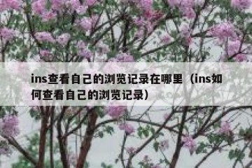 ins查看自己的浏览记录在哪里（ins如何查看自己的浏览记录）