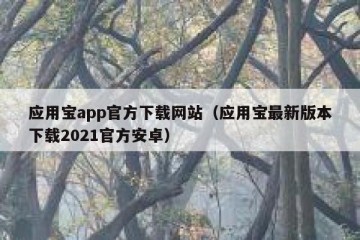 应用宝app官方下载网站（应用宝最新版本下载2021官方安卓）