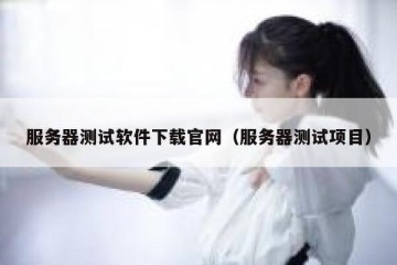 服务器测试软件下载官网（服务器测试项目）