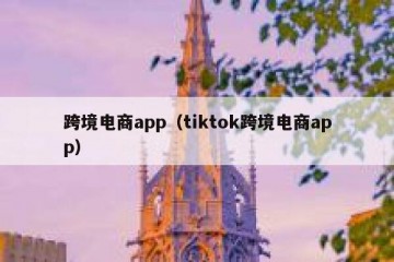 跨境电商app（tiktok跨境电商app）