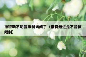 推特动不动就限制访问了（推特最近是不是被限制）