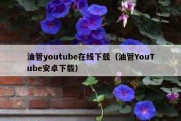 油管youtube在线下载（油管YouTube安卓下载）