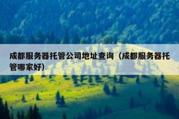 成都服务器托管公司地址查询（成都服务器托管哪家好）