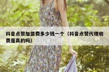 抖音点赞加盟费多少钱一个（抖音点赞代理收费是真的吗）
