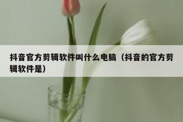 抖音官方剪辑软件叫什么电脑（抖音的官方剪辑软件是）