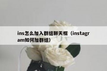 ins怎么加入群组聊天框（instagram如何加群组）
