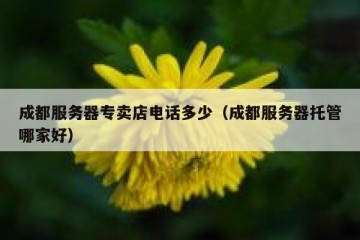 成都服务器专卖店电话多少（成都服务器托管哪家好）