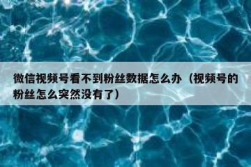 微信视频号看不到粉丝数据怎么办（视频号的粉丝怎么突然没有了）