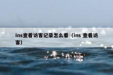 ins查看访客记录怎么看（ins 查看访客）
