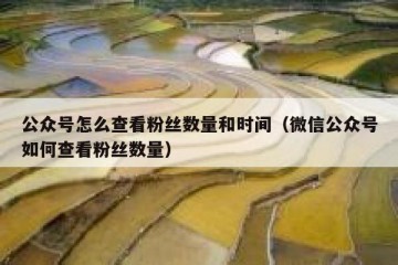 公众号怎么查看粉丝数量和时间（微信公众号如何查看粉丝数量）