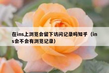 在ins上浏览会留下访问记录吗知乎（ins会不会有浏览记录）