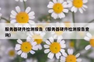 服务器硬件检测报告（服务器硬件检测报告查询）