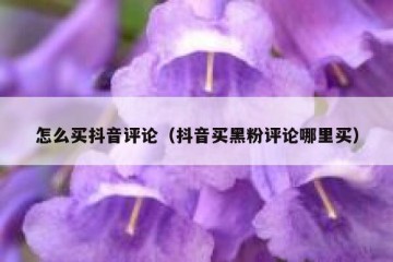怎么买抖音评论（抖音买黑粉评论哪里买）