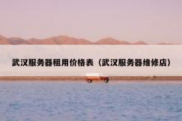 武汉服务器租用价格表（武汉服务器维修店）