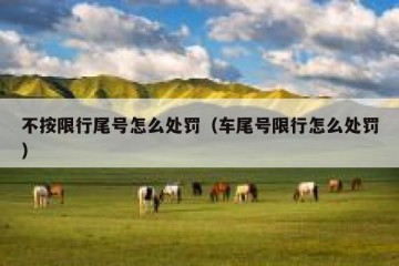不按限行尾号怎么处罚（车尾号限行怎么处罚）