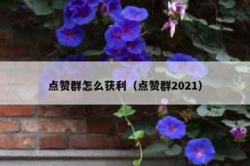 点赞群怎么获利（点赞群2021）
