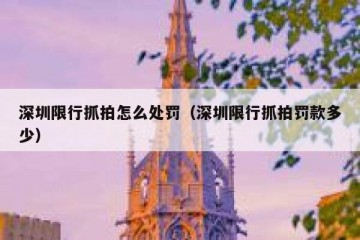 深圳限行抓拍怎么处罚（深圳限行抓拍罚款多少）