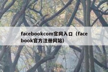 facebookcom官网入口（facebook官方注册网站）