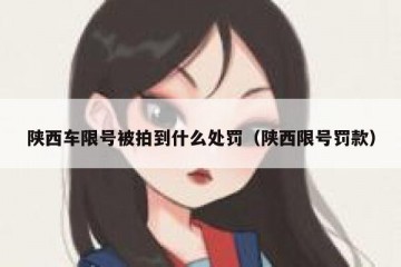 陕西车限号被拍到什么处罚（陕西限号罚款）