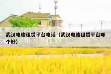 武汉电脑租赁平台电话（武汉电脑租赁平台哪个好）