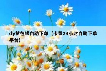 dy赞在线自助下单（卡盟24小时自助下单平台）