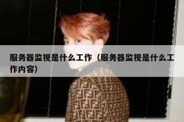 服务器监视是什么工作（服务器监视是什么工作内容）