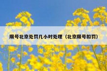 限号北京处罚几小时处理（北京限号扣罚）