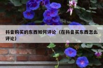 抖音购买的东西如何评论（在抖音买东西怎么评论）
