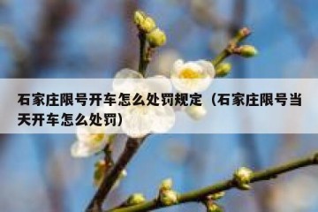石家庄限号开车怎么处罚规定（石家庄限号当天开车怎么处罚）
