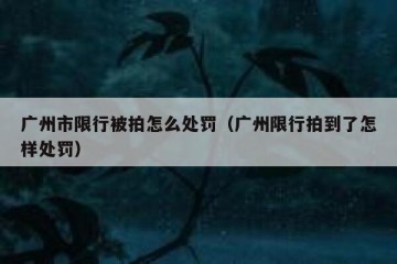 广州市限行被拍怎么处罚（广州限行拍到了怎样处罚）
