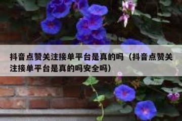 抖音点赞关注接单平台是真的吗（抖音点赞关注接单平台是真的吗安全吗）