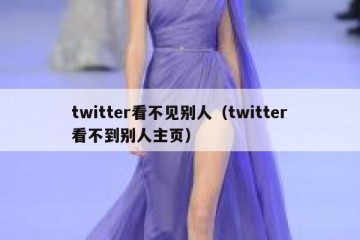 twitter看不见别人（twitter看不到别人主页）