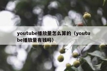 youtube播放量怎么算的（youtube播放量有钱吗）