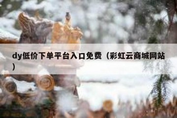 dy低价下单平台入口免费（彩虹云商城网站）