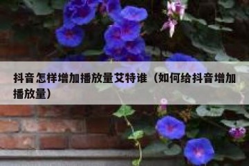 抖音怎样增加播放量艾特谁（如何给抖音增加播放量）