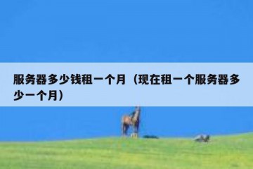 服务器多少钱租一个月（现在租一个服务器多少一个月）