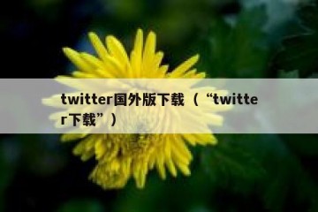 twitter国外版下载（“twitter下载”）