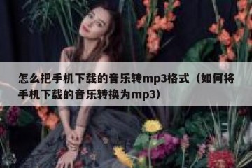 怎么把手机下载的音乐转mp3格式（如何将手机下载的音乐转换为mp3）
