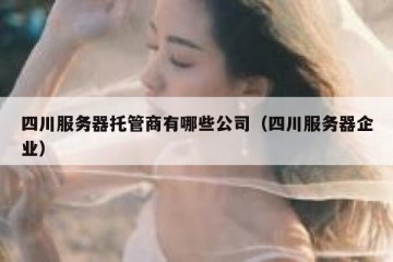四川服务器托管商有哪些公司（四川服务器企业）