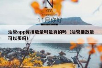 油管app算播放量吗是真的吗（油管播放量可以买吗）