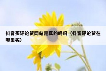 抖音买评论赞网站是真的吗吗（抖音评论赞在哪里买）