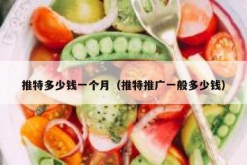 推特多少钱一个月（推特推广一般多少钱）