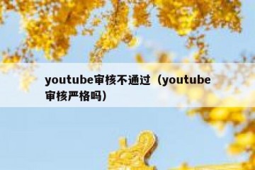 youtube审核不通过（youtube审核严格吗）