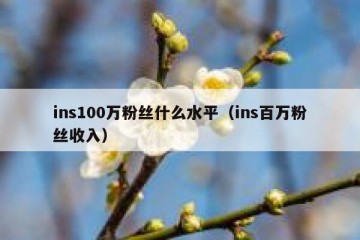 ins100万粉丝什么水平（ins百万粉丝收入）